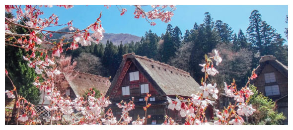 Khung cảnh làng Shirakawago làm nhiều người say đắm.